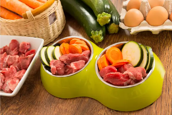 Como evitar a obesidade em Pets e manter seu animal saudável