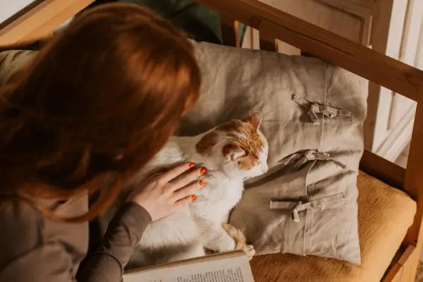 Quando o seu Gato sente dor e não demonstra