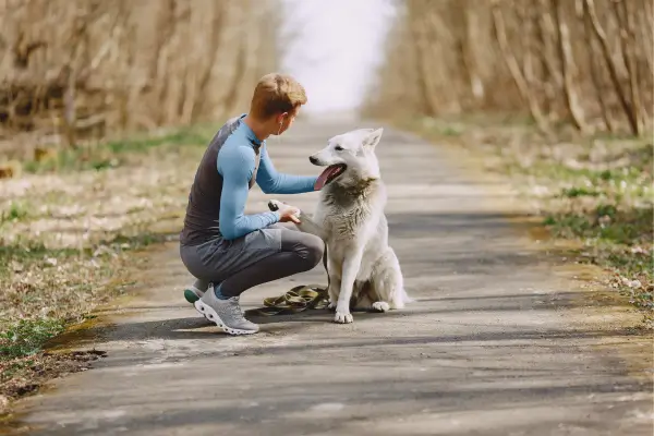 O uso de cliques no treinamento positivo: funciona mesmo?