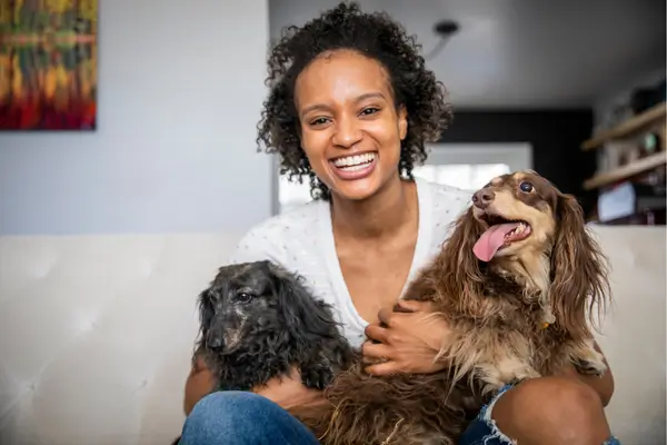 Como ajudar animais adotados a se adaptarem à nova casa
